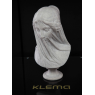 3D printer KLEMA 250