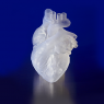 Картридж Formlabs Elastic Resin, прозрачный, 1л