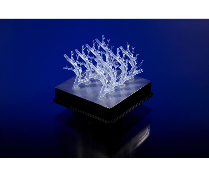 Картридж Formlabs Elastic Resin, прозрачный, 1л Картридж Formlabs Elastic Resin, прозрачный, 1л