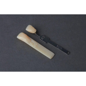 Formlabs Premium Teeth HT A3 Resin Form 3 Cartridge, 1kg 0.8L