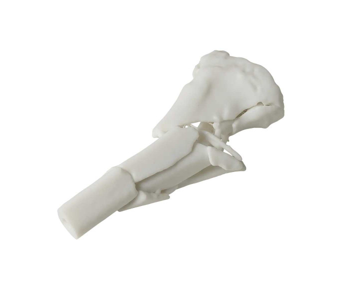 Formlabs White V5 Resin Form 4, 5L