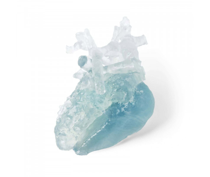 Formlabs BioMed Flex 80A Resin for Form 4, 1L