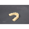 3D принтер CreatBot F160 Peek