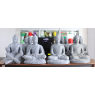 3D printer CreatBot D600