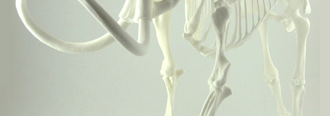 3D печать скелета мамонта 3D печать скелета мамонта