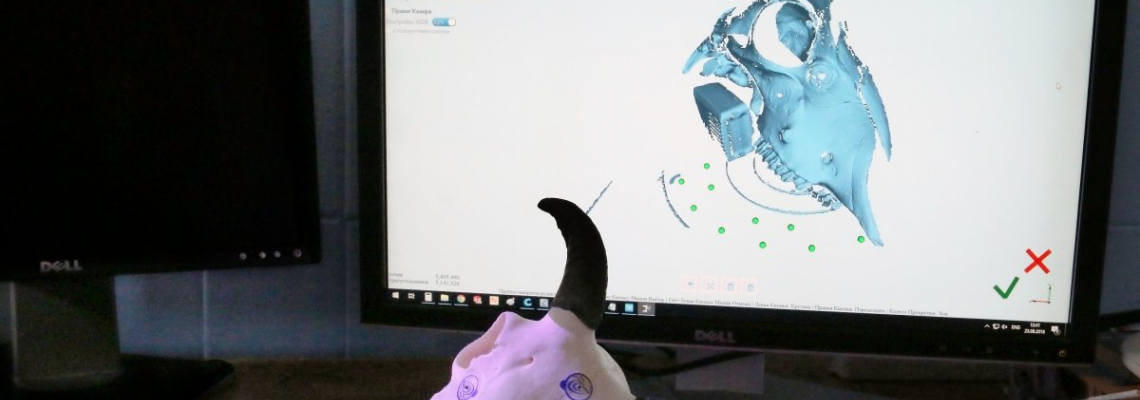 3D сканирование сложных объектов 3D сканирование сложных объектов