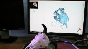 3D сканирование сложных объектов
