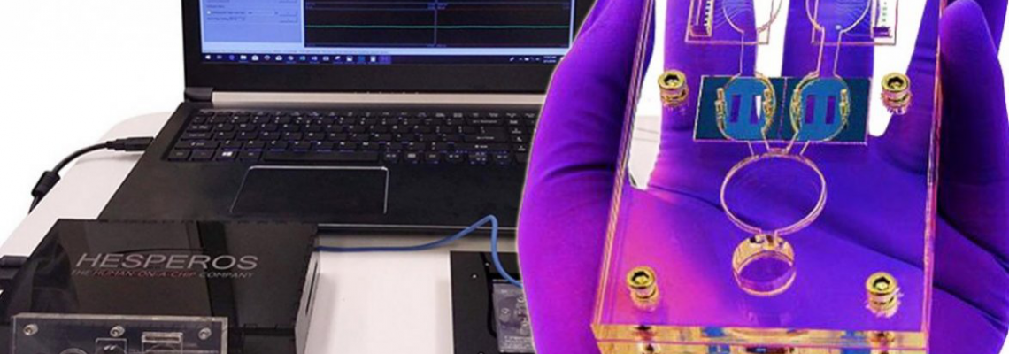 3D-печать лабораторий-на-чипе: SLA, FDM или PolyJet? 3D-печать лабораторий-на-чипе: SLA, FDM или PolyJet?