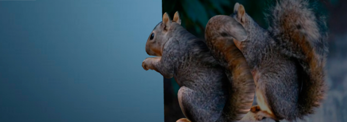 3D-моделирование — Smoothie-3D – бесплатная интуитивная программа для 3D-моделирования 3D-моделирование — Smoothie-3D – бесплатная интуитивная программа для 3D-моделирования