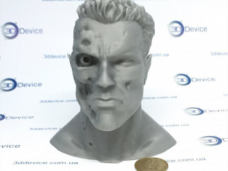 Arnold Schwarzenegger statue printing on 3DDevice printer.