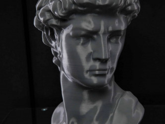 3DDevice printed bust of Michelangelo's David.
