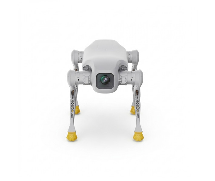 Робот-собака AgiBot D1 Edu