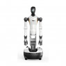 Колісний робот-гуманоїд AgiBot G2