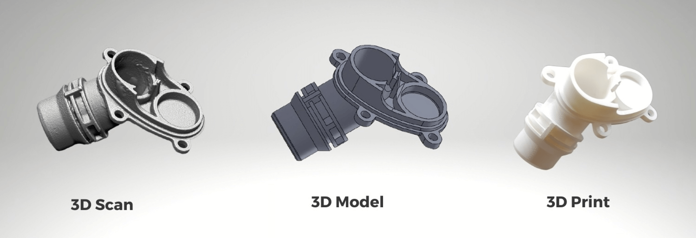 3d scan, 3d model, 3d print