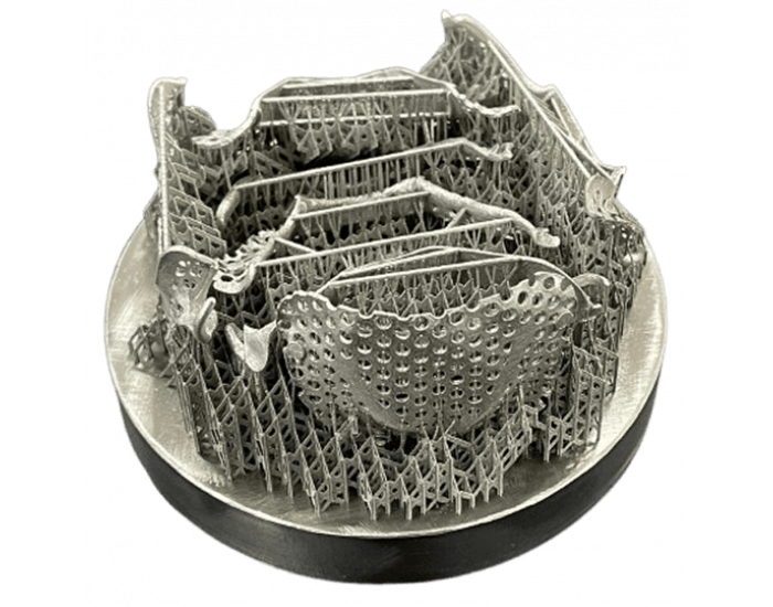 SLM Metal 3D Printing