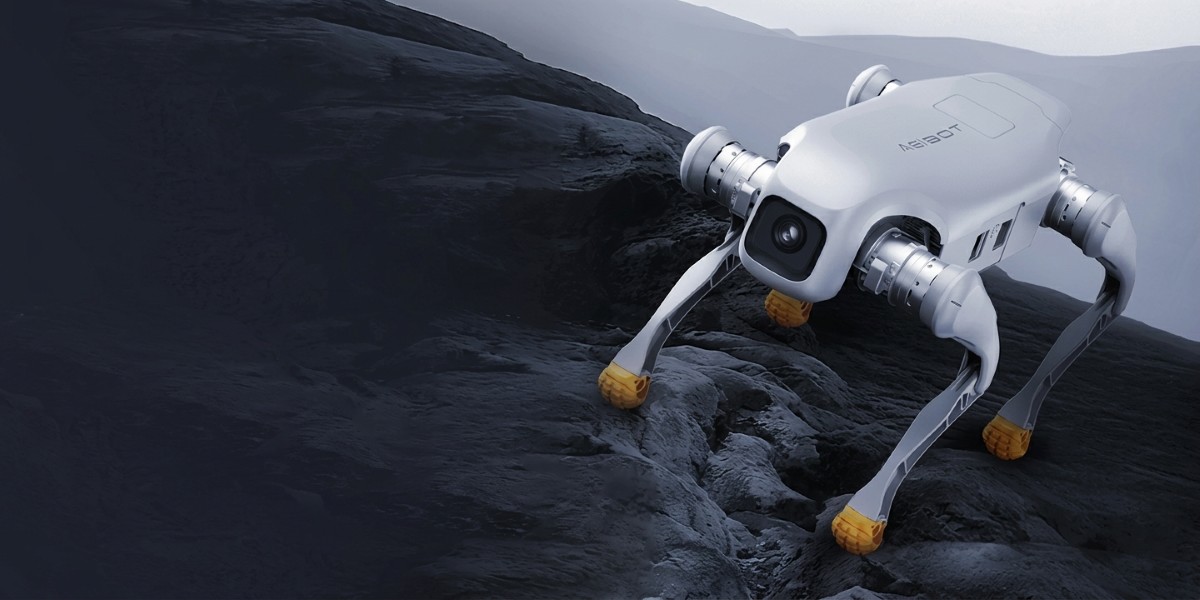 AgiBot D1 Pro на складному рельєфі