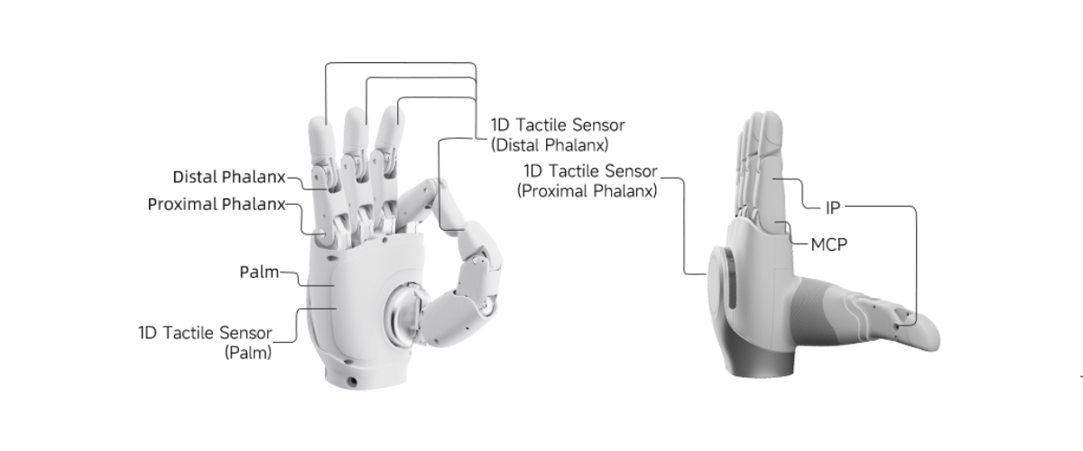 Будова роботизованої кисті AgiBot OmniHand 3 Ultra-M та розташування тактильних сенсорів
