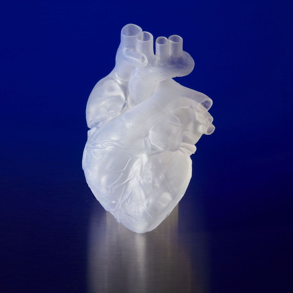 Elastic 50A Resin V2