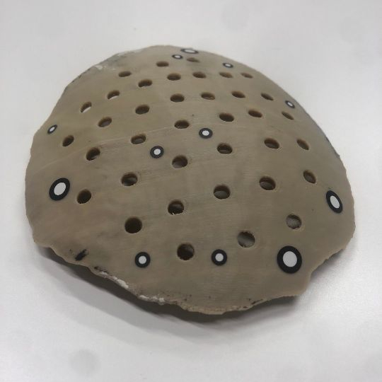 Medical-grade PEEK component manufactured using the high-temperature 3D printer INTAMSYS FUNMAT HT, demonstrating precise production of advanced engineering polymers
