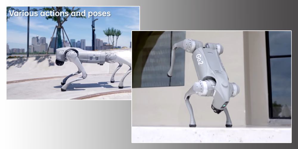 Робот собака з Lidar