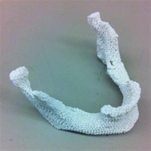 3Dplasticbones