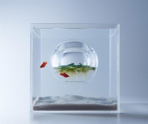3D-печатный аквариум3