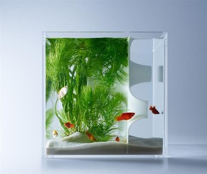 3D-печатный аквариум4