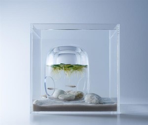 3D-печатный аквариум5