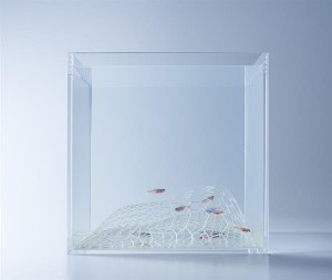 3D-печатный аквариум9