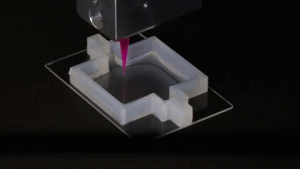 3D-печатная почка