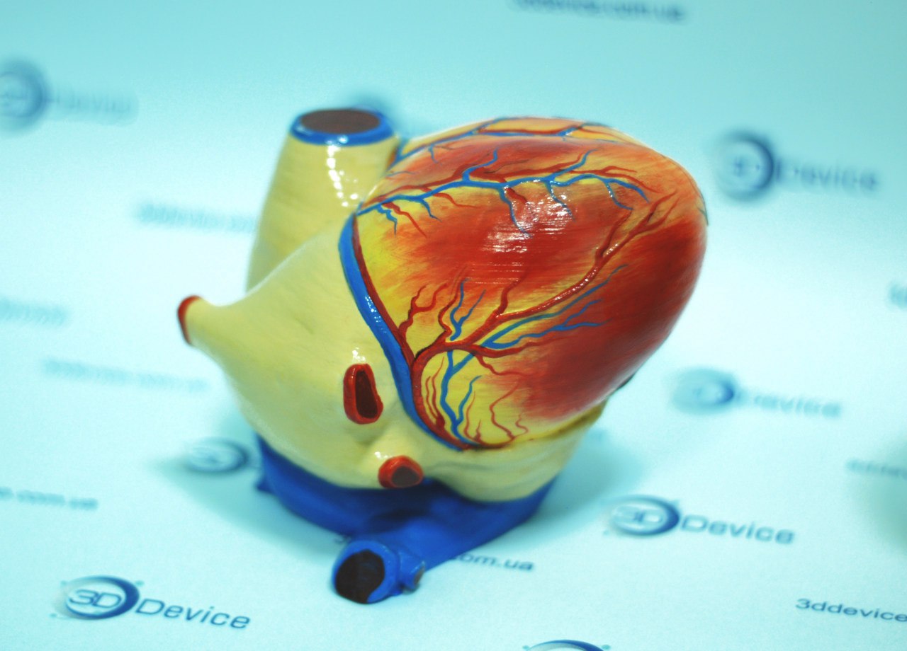 Сердце на 3D принтере