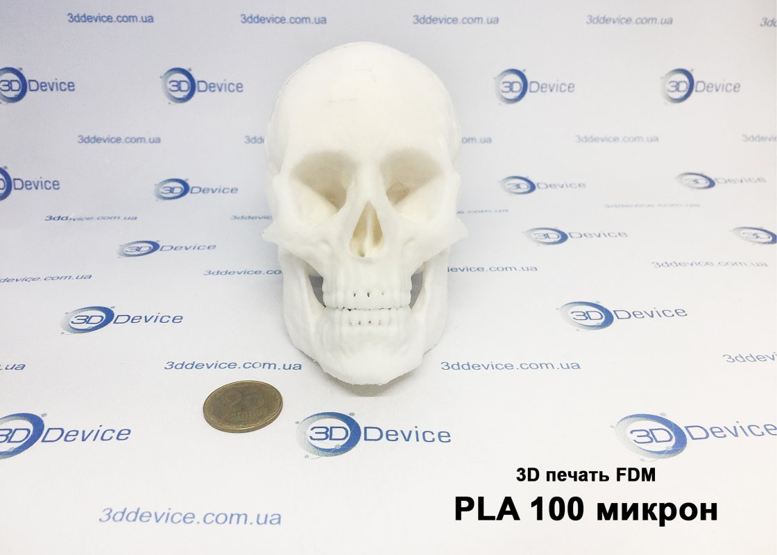 Печать черепа из PLA пластика