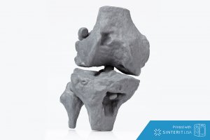 3D принтер Sinterit LISA медицина