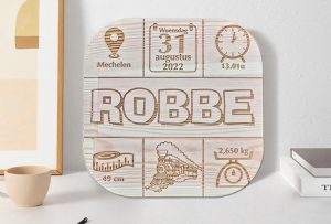 Creality Laser Engraver Falcon 10W Examples